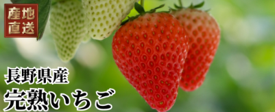 スクリーンショット 2025-04-24 201440