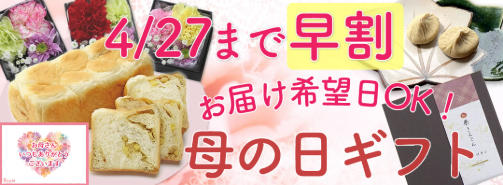 スクリーンショット 2025-04-25 110332